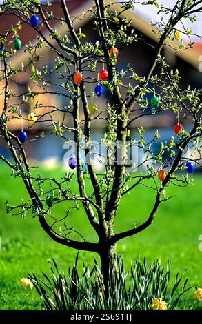 Traditional  Bavarian Easter Tree, Chiemgau, Upper Bavaria, Germany Stock Photo