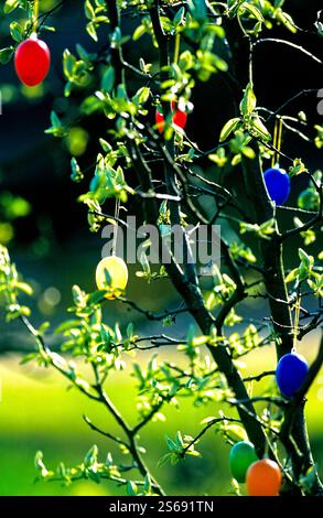 Traditional  Bavarian Easter Tree, Chiemgau, Upper Bavaria, Germany Stock Photo