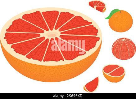 Grapefruit icons set. Isometric set of grapefruit vector icons for web design isolated on white background. Grapefruit icons set, isometric style Stock Vector