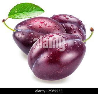 Prune plums covered with water drops on white background. File contains clipping paths. Stock Photo
