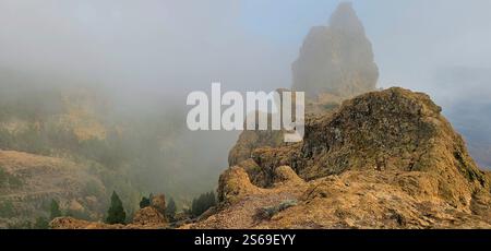 Lost in the fog, where the sun gently kisses the mountains and nature speaks in whispers. Stock Photo
