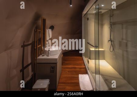 This modern bathroom features a stunning glass shower, elegant sinks, and warm wood accents, creating a calming atmosphere for relaxation after a long Stock Photo