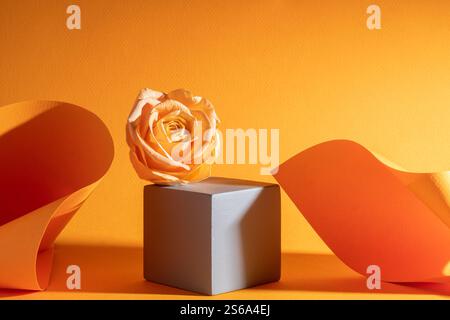 Cosmetic orange background with cubic podium and beige rose for displaying cosmetic products, beautiful shadows and paper curves. Copy space Stock Photo