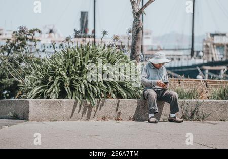 A quiet moment of solitude as the man sits on a bench, immersed in his phone, surrounded by greenery in a serene outdoor setting.” Stock Photo