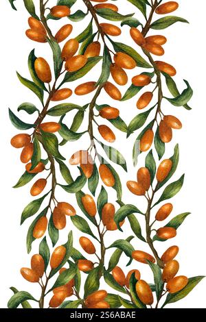 Seamless vertical border with sea buckthorn and branches. Watercolor illustration with bright orange berries on isolated background. Hand drawn buckho Stock Photo