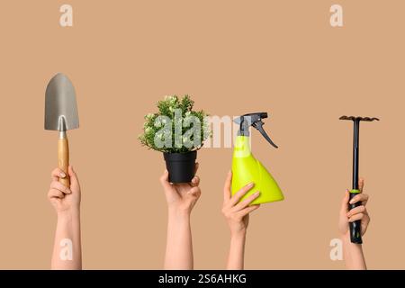 Female hands with gardening tools and plant on color background Stock Photo