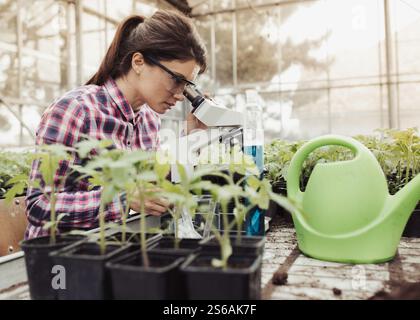 Pretty young farmer woman looking through microscope surrounded with sprouts in flower pots in greenhouse. Plant protection and productivity improveme Stock Photo