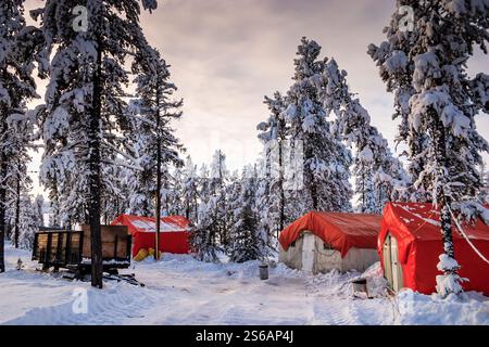 A red tent is set up in the snow next to a forest. The tent is surrounded by other tents and a truck. The scene is peaceful and serene, with the snow- Stock Photo