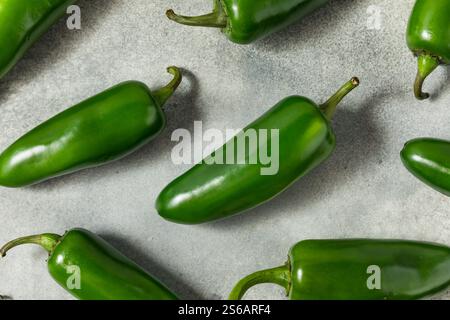 Raw Green Organic Jalapeno Peppers in a Bunch Stock Photo