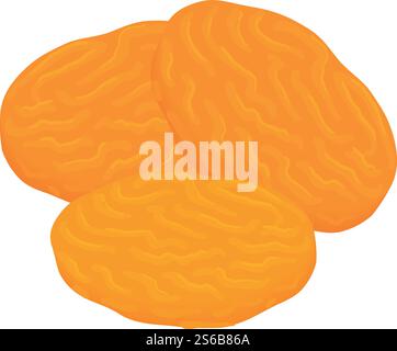 Apricot seed icon. Isometric of apricot seed vector icon for web design isolated on white background. Apricot seed icon, isometric style Stock Vector