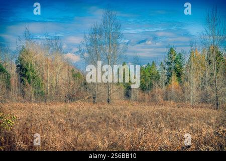 Autumn scenes - HDR look Stock Photo
