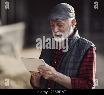 Senior farmer using tablet on cattle ranch. Smart agribusiness concept Stock Photo