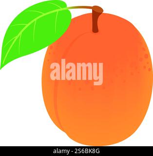 Whole apricot icon. Isometric of whole apricot vector icon for web design isolated on white background. Whole apricot icon, isometric style Stock Vector