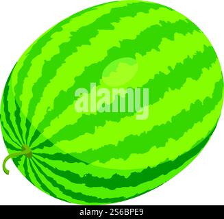 Whole watermelon icon. Isometric of whole watermelon vector icon for web design isolated on white background. Whole watermelon icon, isometric style Stock Vector