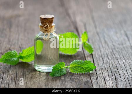 Glass bottle of melissa (lemon balm) essential oil with fresh melissa leaves, herbal medicine concept, aromatheraphy Stock Photo