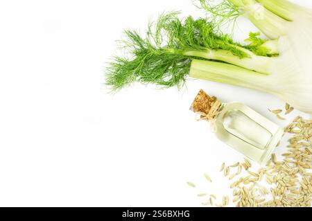 Glass bottle of fennel essential oil with fennel seeds and bulb isolated on white background. Herbs alternative medicine concept (Foeniculum vulgare) Stock Photo