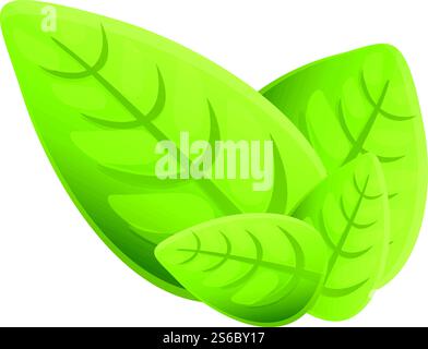 Basil culinary icon. Cartoon of basil culinary vector icon for web design isolated on white background. Basil culinary icon, cartoon style Stock Vector