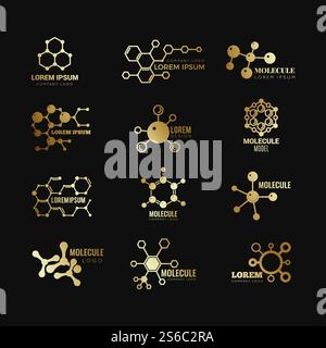 Golden molecular vector logotypes. Evolution concept formula chemistry genetic technology icons set. Golden molecular atom, chemistry research, molecule and dna scientific illustration. Golden molecular vector logotypes. Evolution concept formula chemistry genetic technology icons set Stock Vector