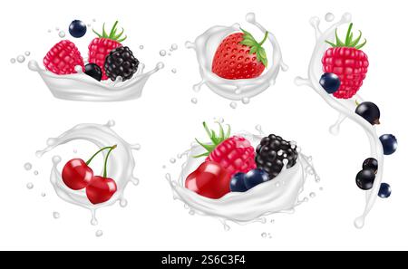 Berries milk splashes vector set. Strawberry, raspberry, blueberry fruits and yogurt splashes isolated vector illustrations on white. Berries milk splashes vector set. Strawberry, raspberry, blueberry fruits and yogurt splashes isolated vector illustrations Stock Vector