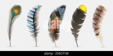 Realistic bird feathers. Detailed colorful feather of different birds. 3d vector collection isolated on transparent background. Illustration feather bird, peacock fluffy elegance plumage. Realistic bird feathers. Detailed colorful feather of different birds. 3d vector collection isolated on transparent background Stock Vector