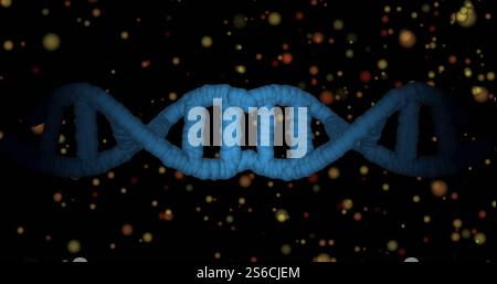 Image of dna strand spinning over glowing spots on dark background Stock Photo