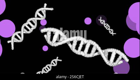 Image of dna strands spinning over glowing spots on dark background Stock Photo