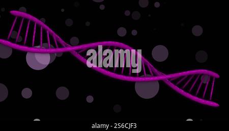 Image of dna strand spinning over glowing spots on dark background Stock Photo
