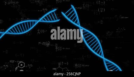 Image of dna strands over mathematical equations Stock Photo