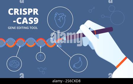 Crispr concept. Cas9 dna and gene engineering biotechnology. Human genome modification medical vector background. Illustration of dna biotechnology, gene crispr-cas9. Crispr concept. Cas9 dna and gene engineering biotechnology. Human genome modification medical vector background Stock Vector