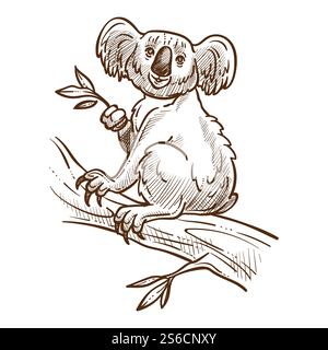 Koala on tree branch isolated sketch, Australian fauna, wild animal vector. Bear eating leaves of eucalyptus drawing, Australia country symbol. Sleepy and lazy mammal in jungle forest, traveling. Australian symbol, koala bear on tree branch eating eucalyptus Stock Vector
