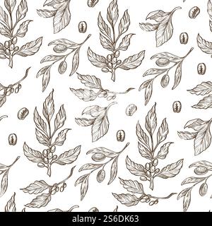 Coffea plant branches seamless pattern. Growing flora with leaves and coffee beans. Natural organic production, agricultural harvesting. Cafe print, monochrome sketch outline, vector in flat style. Coffee beans growing on branches with leaves seamless pattern Stock Vector
