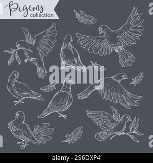 Pigeons in motion or calm state, monochrome sketches outline. Isolated birds, doves carrying branch with foliage on branches. Plumage of aves, flora and fauna interaction, vector in flat style. Sitting and flying doves, monochrome sketches of pigeons set Stock Vector