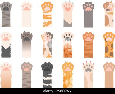 Pets paw. Wild cats different paws with claws vector collection. Colored pet paw with claw, animal cat foot illustration. Pets paw. Wild cats different paws with claws vector collection Stock Vector