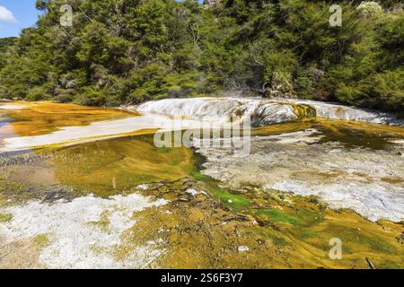 An image of a volcanic activities at waimangu new zealand Stock Photo