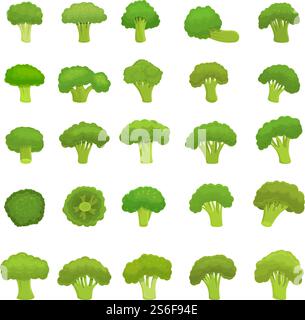 Broccoli icons set. Cartoon set of broccoli vector icons for web design. Broccoli icons set, cartoon style Stock Vector