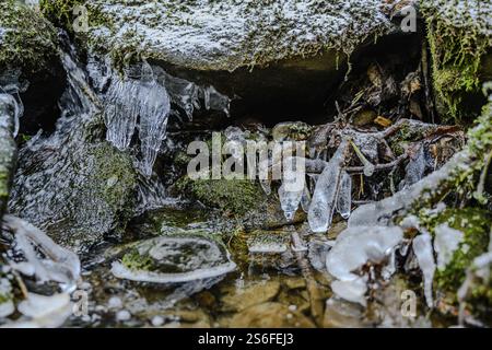 Snow-covered rocks and moss in the forest, surrounded by frozen ice moulds and water, The icy waterfall in the Perlbachtal valley near Bogen, Lower Ba Stock Photo