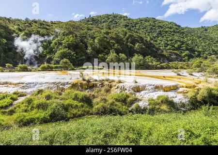 An image of a volcanic activities at waimangu new zealand Stock Photo