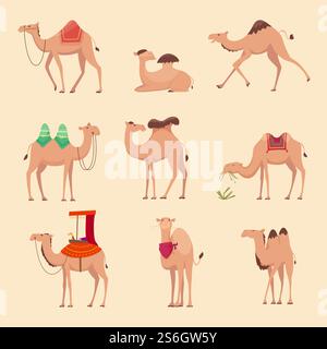 Desert camels. African funny animals for travelling across africa or egypt vector pictures. Camel african mammal, ride animal dromedary illustration. Desert camels. African funny animals for travelling across africa or egypt vector pictures Stock Vector