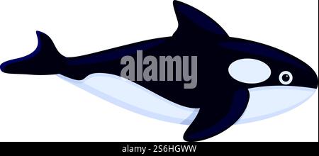 Pacific killer whale icon. Cartoon of Pacific killer whale vector icon for web design isolated on white background. Pacific killer whale icon, cartoon style Stock Vector