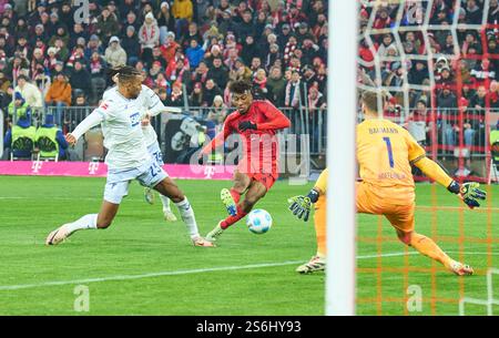 Kingsley Coman, FCB 11 shoots on goal, Kevin AKPOGUMA, Hoff 25 blocks, Oliver BAUMANN, Torwart Hoff 1 in the match FC BAYERN MUENCHEN - TSG 1899 HOFFENHEIM 5-0 on Jan 15, 2025 in Munich, Germany. Season 2024/2025, 1.Bundesliga, FCB, Muenchen, matchday 18, 18.Spieltag Photographer: ddp images/star-images - DFL REGULATIONS PROHIBIT ANY USE OF PHOTOGRAPHS as IMAGE SEQUENCES and/or QUASI-VIDEO - Credit: ddp media GmbH/Alamy Live News Stock Photo