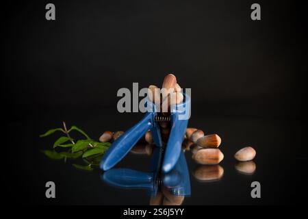hazelnuts with nutcracker isolated on black background. Stock Photo