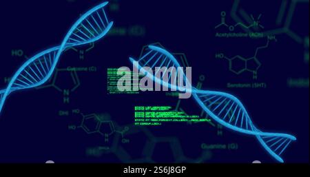 Image of scientific data processing and dna strands over dark background Stock Photo