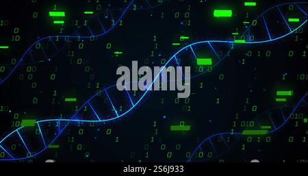 Image of dna strands and binary coding digital data processing Stock Photo