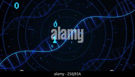 Image of dna strands and binary coding digital data processing Stock Photo