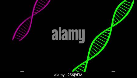 Image of dna strands over black background Stock Photo