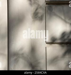 Soft Shadows Cast on a Textured Wall Surface in Natural Light Stock Photo