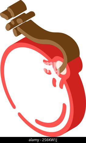 bomb pirate isometric icon vector. bomb pirate sign. isolated symbol illustration. bomb pirate isometric icon vector illustration Stock Vector