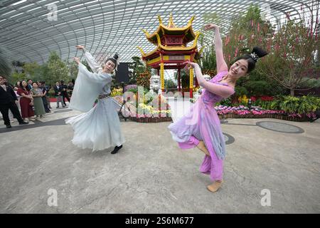 gardens by the bay chinese new year 2025