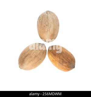 Three whole walnuts with shells on a white background. Stock Photo