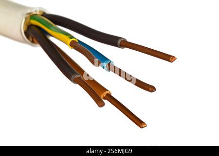 Power cable cropped on white background Stock Photo